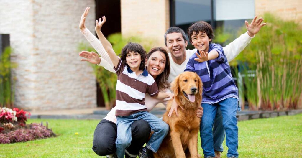 wearable technology for pets