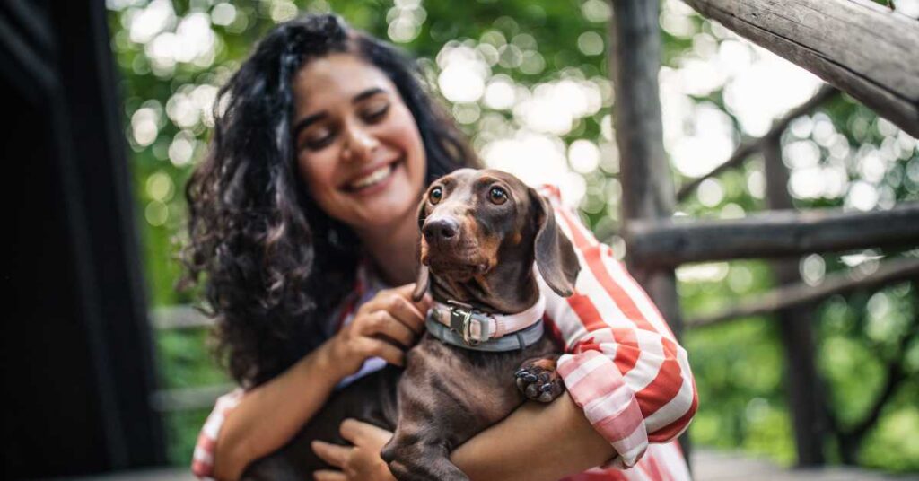 wearable technology for pets